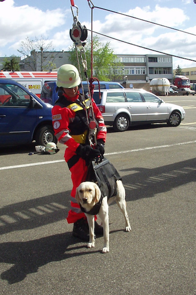 Rettungshunde-Arbeit